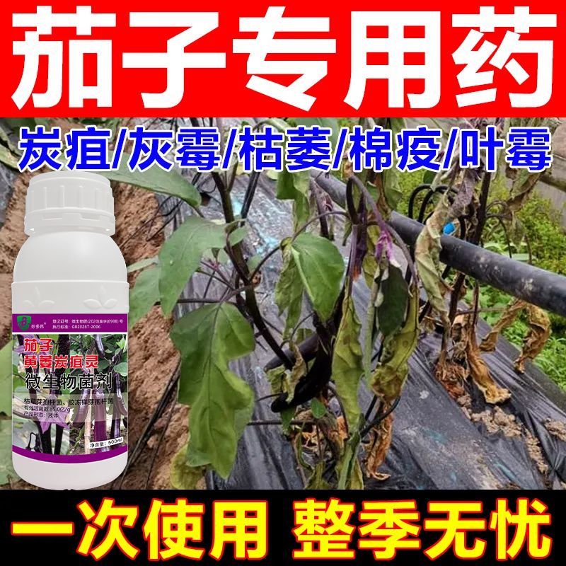 茄子病专用药茄子杀菌剂疫病黄萎病根腐病枯萎病炭疽病灰霉叶霉病