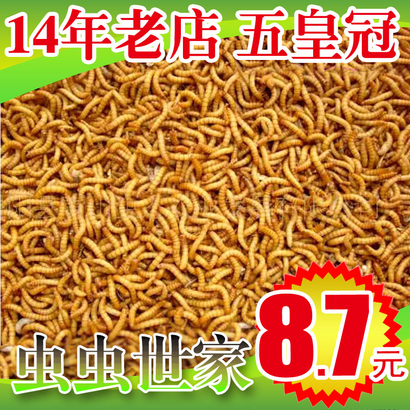 黄粉虫面包虫活体 活虫鲜活虫种虫 鸟食鱼食活体仓鼠乌龟饲料鱼饵