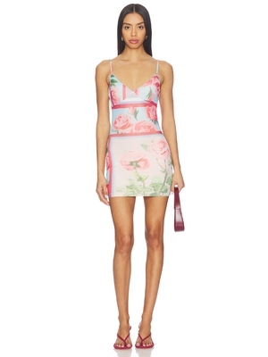 Tiger Mist JULIANNA MINI 裙子 revolve小众新款