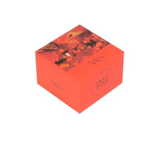 Piecework ARIES 小型纸箱revolve时尚小众新款