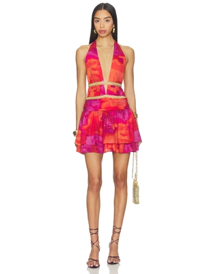 Runaway The Label XYLIA 连衣裙 26春夏新品 revolve小众新款