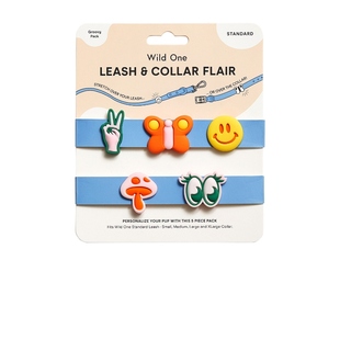 Flair Standard Groovy Walk BundleREVOLVE小众 Wild Charms One