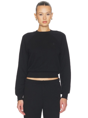 Eterne SHRUNKEN RAGLAN 运动衫 revolve小众新款