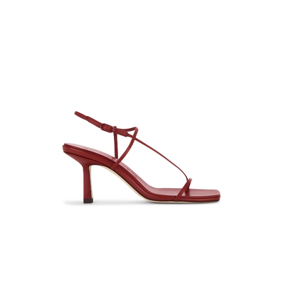 Studio Amelia CROSS FRONT 70 高跟 26春夏新品 revolve小众新款