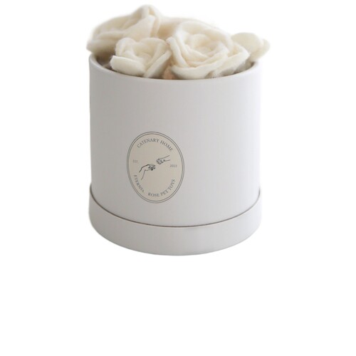 Catenary Home FLORA ETERNA PET TOYBOX FLORA ETERNA 宠物玩具