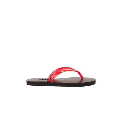 Ancient Greek Sandals 鞋子REVOLVE女鞋