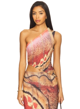 Feners BESOS 上装 铁锈色 y2k辣妹风 REVOLVE小众新款