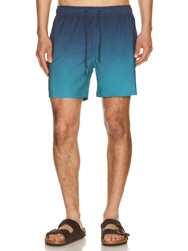 Vintage Summer Performance Stretch Lined Volleys revolve小众