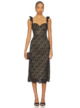 ASTR the Label DONNE 裙子 黑色REVOLVE小众新款