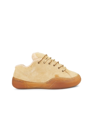 ERL VAMP 运动鞋 revolve小众新款