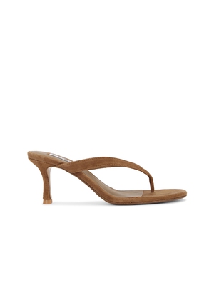 SENSO FARAH I 凉鞋 revolve小众新款