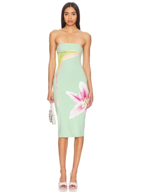 Tyler McGillivary LUNA MOTH 针织连衣裙保暖REVOLVE小众新款