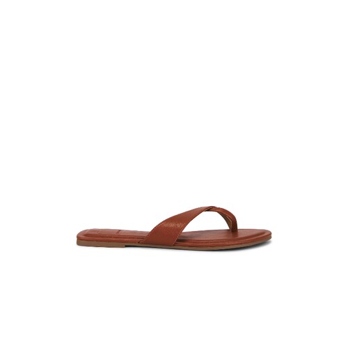 Dolce Vita LENEX 夹趾凉鞋 26夏季新品 revolve小众新款