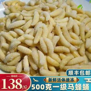 野生蜂蛹一级 鲜活蜂儿速冻胡峰虫葫芦蜂黄蜂仔500克 新鲜马蜂蛹