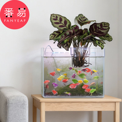 水培定植篮B1pn008-家用水草种植杯壁挂式半透明鱼缸水培植物篮