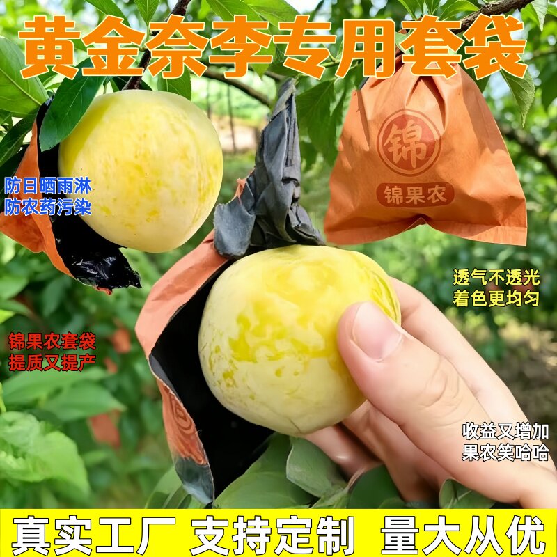 李子套袋专用袋黄金奈李袋子黑布林纸袋防水防鸟蜂糖李子袋透气