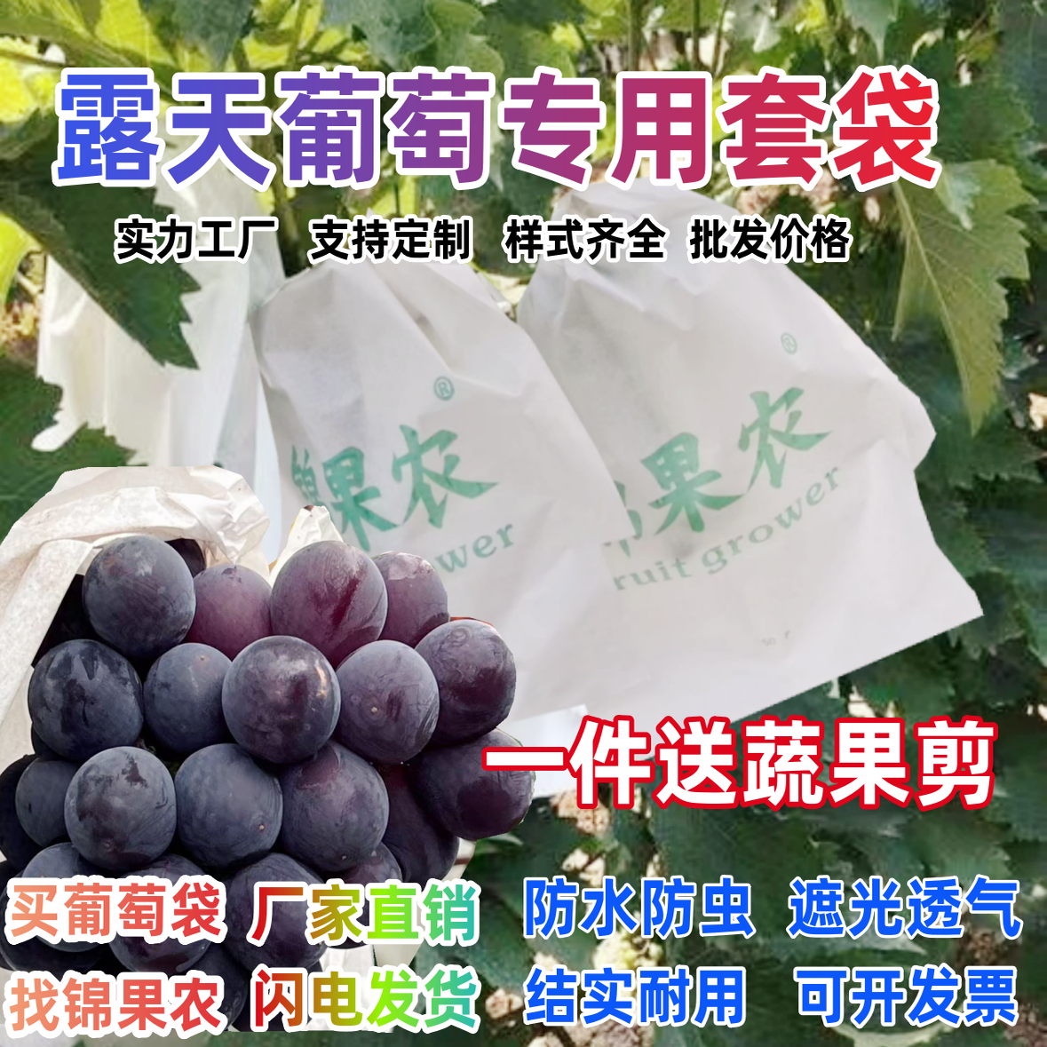 葡萄专用套袋防虫防水