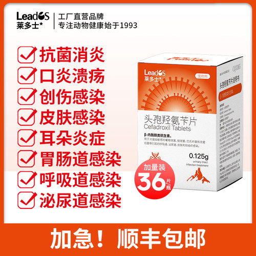 猫咪狗狗头孢消炎药泌尿路感染药