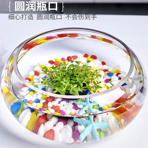 加厚透明玻璃小鱼缸乌龟