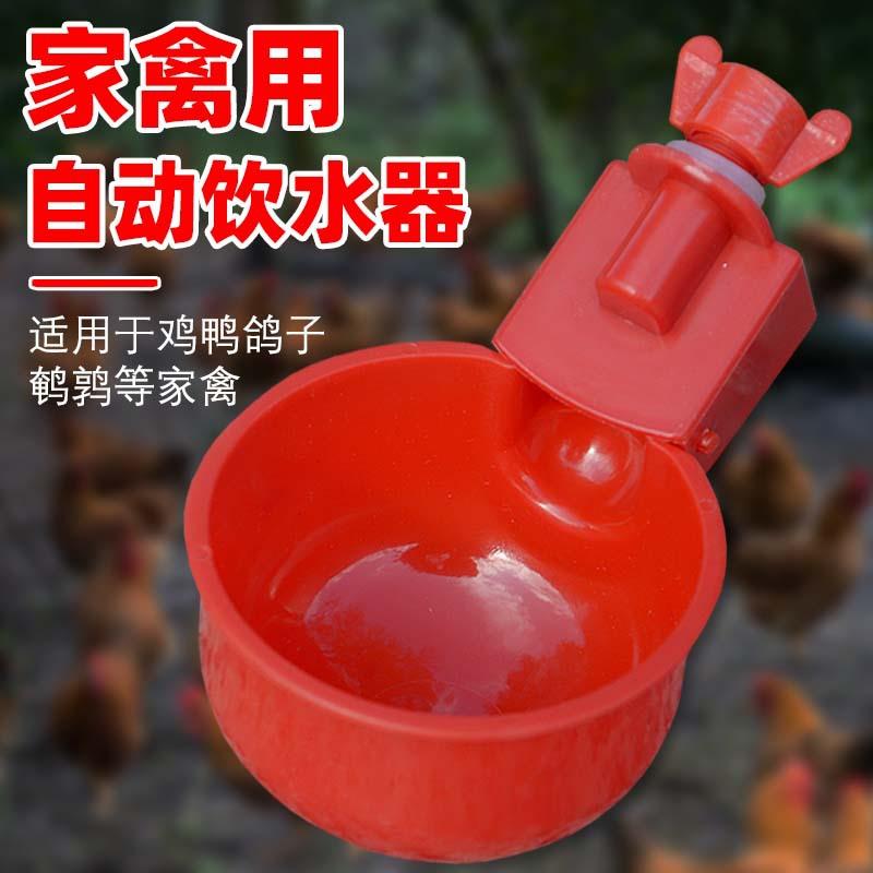 家禽自动饮水碗自动鸡饮水机鸡饮水杯鸡饮水器鸡用宠物自动喝水器