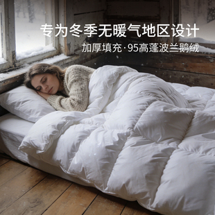 斯得福冬季厚被子100S波兰进口羽绒被95白鹅绒春秋暖被芯四季通用