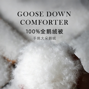 斯得福100%全鹅绒被95羽绒被加厚保暖被芯冬被四季通用春秋被子