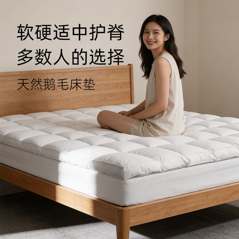 斯得福高质量软床垫床褥卧室家用护脊床褥铺底软垫租房地铺神器,床上用品,床垫/床褥/床护垫/榻榻米床垫,淘宝优惠券,粉丝福利购,淘宝优惠卷