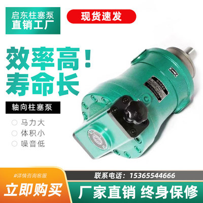 启东高压油泵10 25 40 63 80 100 160 250SCY14-1B轴向柱塞泵