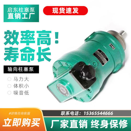 启东高压油泵10 25 40 63 80 100 160 250SCY14-1B轴向柱塞泵