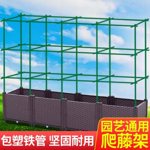 蔬菜爬藤架豆角种植搭架子支撑杆
