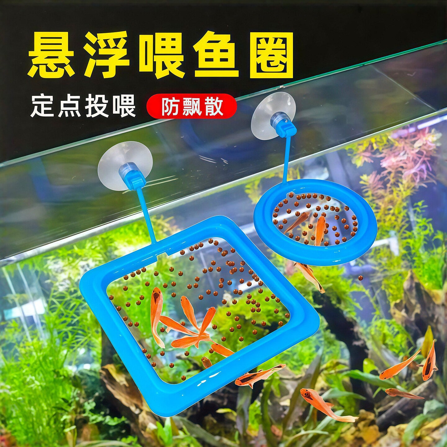 鱼缸喂食器投食器投食圈鱼食防散
