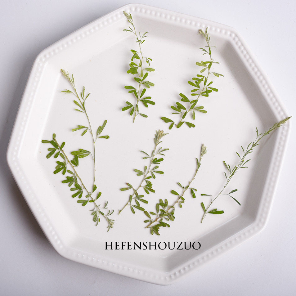 带枝夜关门干花植物滴胶杯垫diy手工相框家居装饰ins小清新手机壳,家居饰品,干花/花瓣/干花包/干树枝,淘宝优惠券,粉丝福利购,淘宝优惠卷