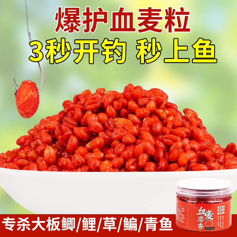 冬钓鲤鱼饵料谷麦钓血麦粒颗粒鱼料鱼食野钓黑坑鲤鱼青鱼钓饵鱼饵