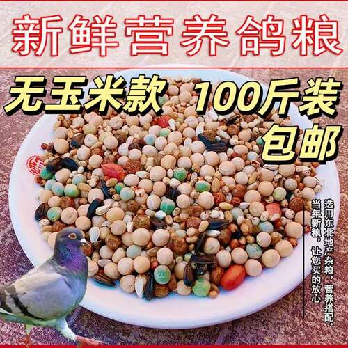 鸽粮100斤包邮粮玉米鸽粮食营养饲料鸟食信鸽观赏鸽肉鸽幼鸽成鸽