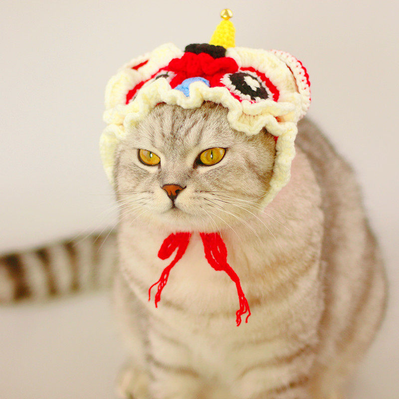 手工钩针猫咪毛线帽材料包醒狮泰迪卡通狗头饰新年diy宠物送工具