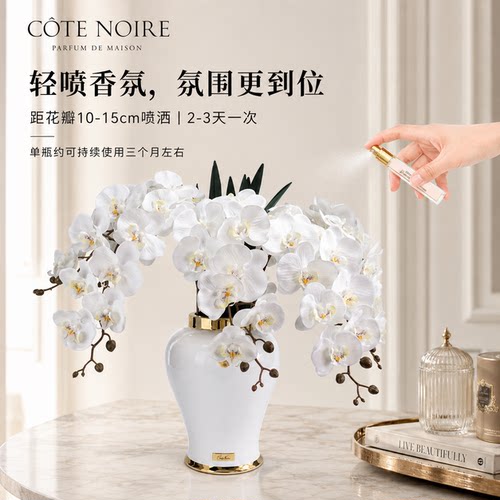 Cote Noire欧式轻奢仿真花蝴蝶兰花瓶摆件餐桌花艺装饰香薰扩香