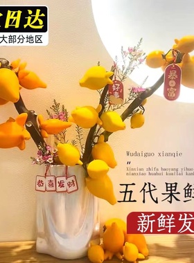 水培五代同堂黄金果鲜花水养植物福禄果鲜切花五指茄插花年宵花