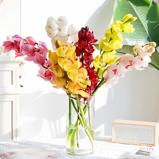 大花蕙兰鲜切花精品带花苞鲜花云南基地直发花卉家用插花超长花期