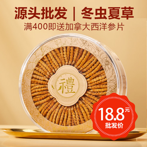 正宗精品冬虫夏草2026头期草源头直供1克55元3根1克虫草王礼盒