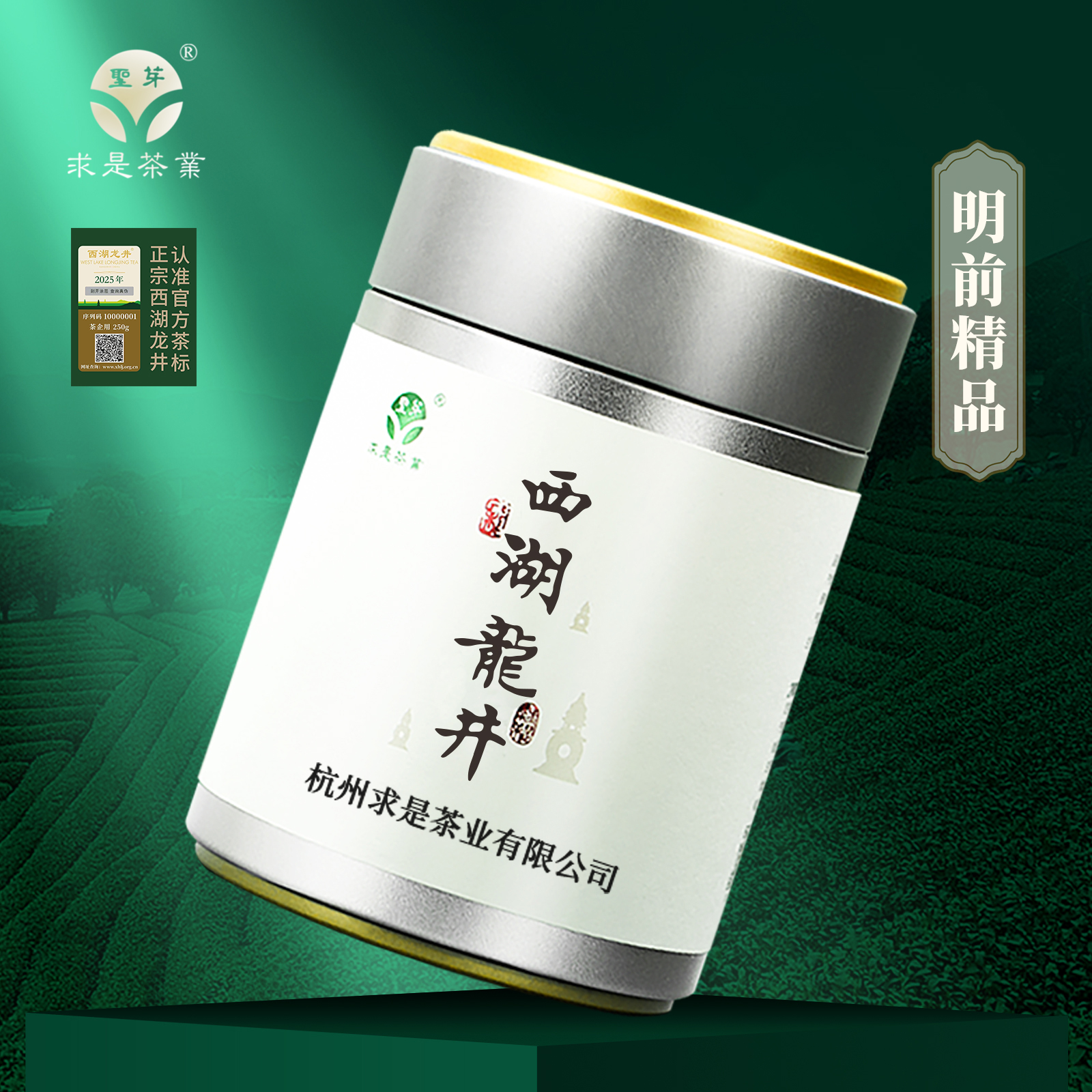 當季新茶西湖龍井茶頭采精品