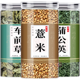 蒲公英车前草薏米中药材组合茶包10克30g熬煮泡水代茶饮降喝尿酸