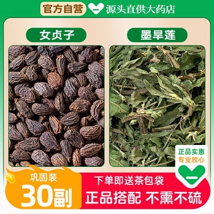 女贞子和墨旱莲养发乌发组合中药材茶正品旱莲草泡水的功效与作用