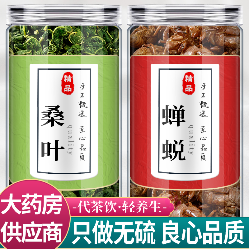 桑叶蝉蜕中药材组合茶包正品和薄荷叶粒新鲜煮水泡脚的功效与作用