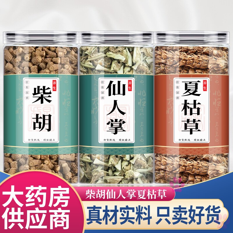 仙人掌柴胡夏枯草中药材组合