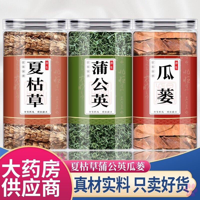 夏枯草瓜蒌蒲公英茶中药材结