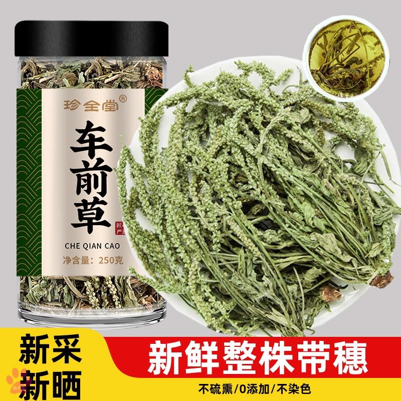 车前草野生中药材的功效与作用车钱草瓜蒌胎菊花木通干货袋泡茶水