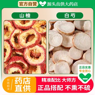 山楂白芍各5g中药材组合茶包正品山渣和加白勺片泡水的功效与作用