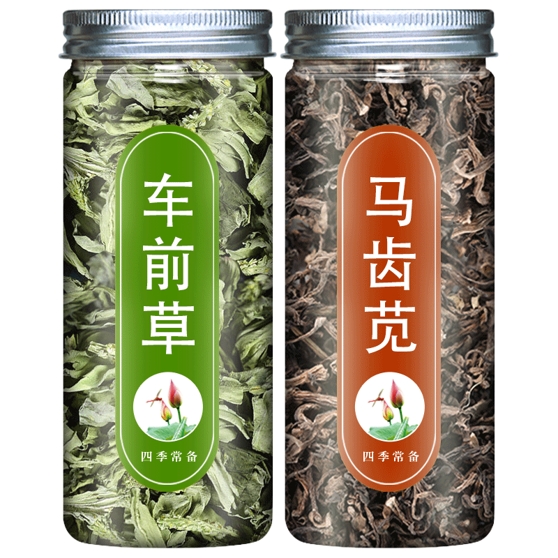 马齿笕车前草组合茶包正品