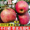 包邮 云南昭通冰糖心丑苹果当季 新鲜红富士野生苹果整箱5斤水果