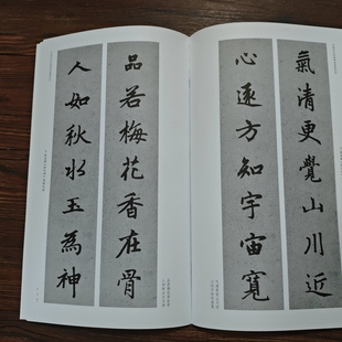 赵孟頫胆巴碑楷书对联书法作品临摹书法作品临摹毛笔字帖楷书帖